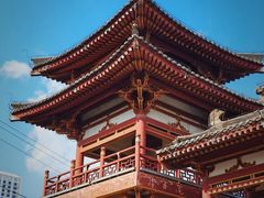 -西安乐游原