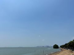 -南沙蒲洲花园