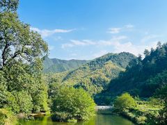 -大奇山国家森林公园