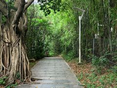 -燕晗山郊野公园