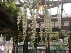 -The Grounds of Alexandria