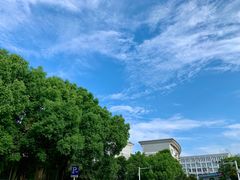 -浙江越秀外国语学院