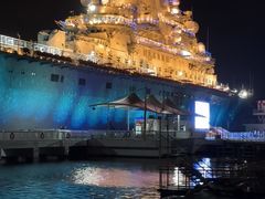 -泰达航母主题公园