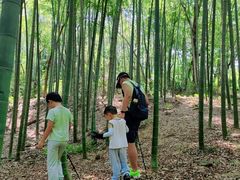 -上海佘山国家森林公园天马山园