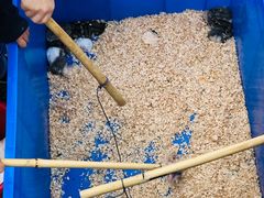 -麻涌飞鸭开心农场
