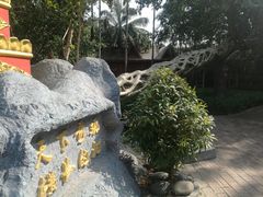 -瑞丽独树成林风景区