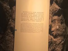 -嘉定博物馆