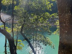 -广州市流溪河国家森林公园