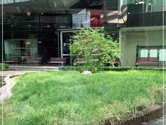 -星巴克(北京西大望路温特莱店)