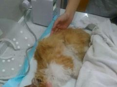 盛京一禾-盛京一禾