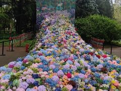 -上海共青森林公园