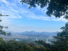 -风云岭森林公园