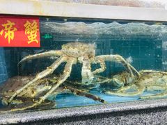-京深海鲜市场(光彩路店)