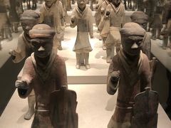 -陕西自然博物馆