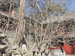 -潭柘寺景区