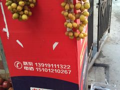 -马三洋芋片(兰州总店)