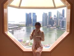 -新加坡丽思卡尔顿美年酒店