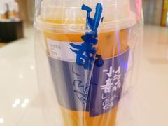 -春丽小马(济南恒隆广场店)