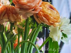 -双季花艺园艺市场(浦东店)