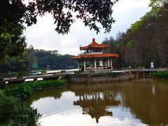 -深圳仙湖植物园