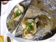 珍珠贝-海岛渔村大酒店(云霄路店)