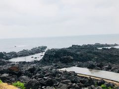 -涉地可支