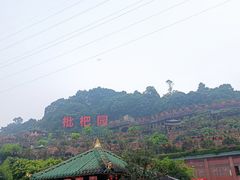 -枇杷园食为鲜火锅(南山店)