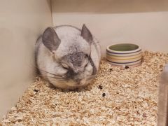 -龙猫仔乐园(惠福东路店)