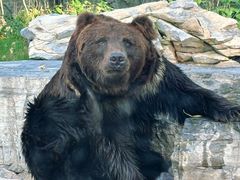 -北京野生动物园