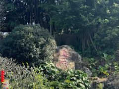 -乌山风景区