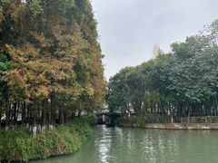 -乌镇东栅景区