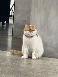 -蚂蚁造型俱乐部