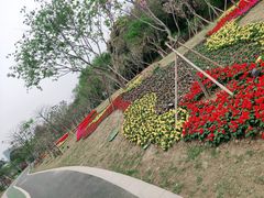 -王借岗森林公园