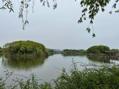 -上海市保健医疗中心