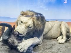 -国家自然博物馆