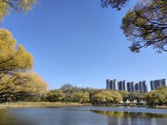 -青城公园