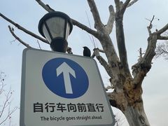 -上海山野camping·户外天幕烧烤·团建拓展营地