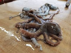 -张会海鲜饭店(东戴河店)