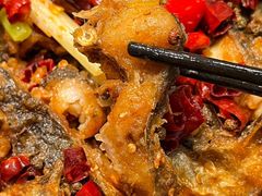 -老板恋上鱼(印象城店)