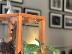 -一尺花园(安和花园店)