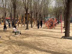 -西部长青自然儿童乐园