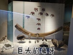 -国家自然博物馆