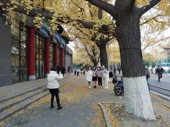 -四川大学(华西校区)