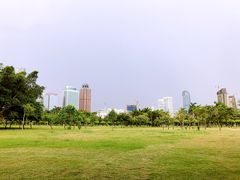 -万绿园