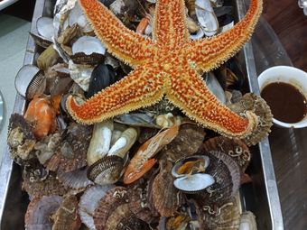 雪糕海鲜冷食部推荐菜:小龙虾牛排大骨头自助餐|冠县中心城区3条萍圹