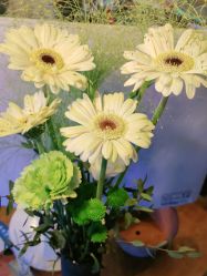 -青木造型HAIR·あおき髪を刈る潮人店