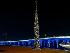 -演武大桥观景平台