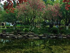 -昆山城市公园