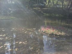 android_upload_pic-水磨沟公园