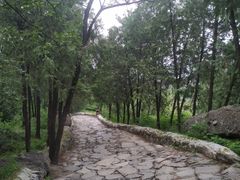 -阳台山自然风景区